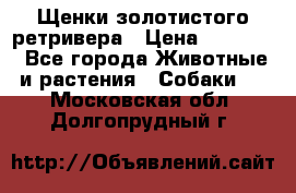 Щенки золотистого ретривера › Цена ­ 15 000 - Все города Животные и растения » Собаки   . Московская обл.,Долгопрудный г.